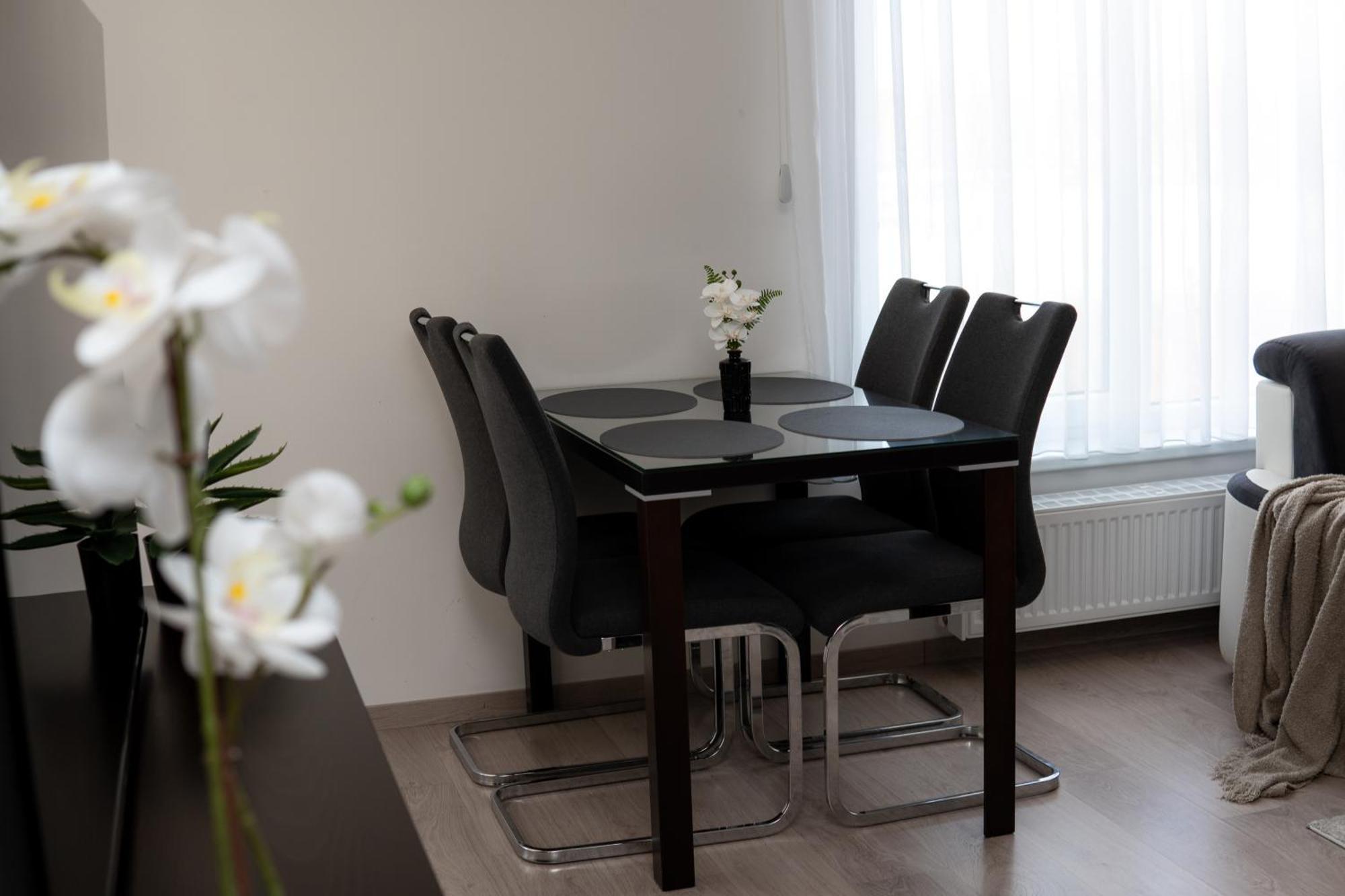 Bnb New Beautiful Apartment In The Center Of Ostrava With Option Garage Parking מראה חיצוני תמונה